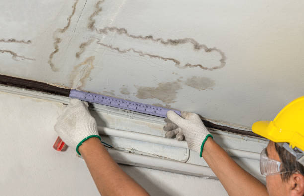Reliable Sewage Cleanup contractor in Vanderpool, TX by Water Damage Irwin